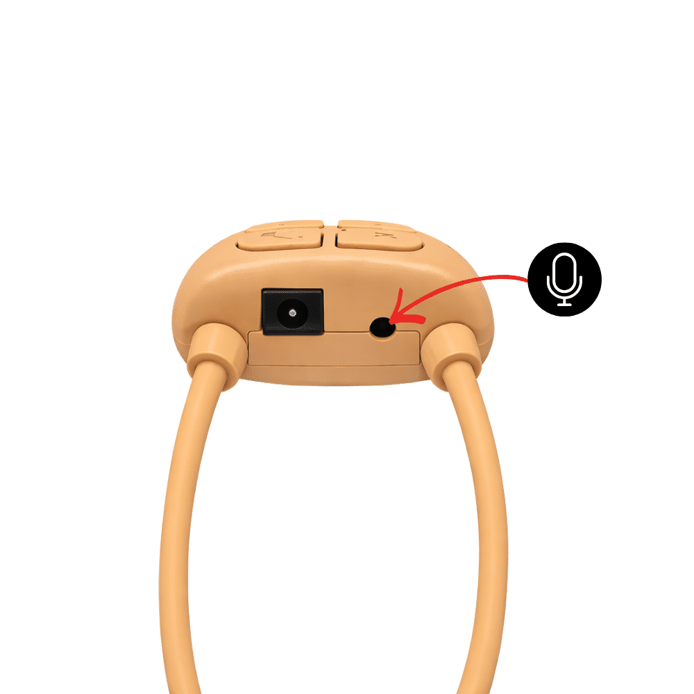 mic-v4.png